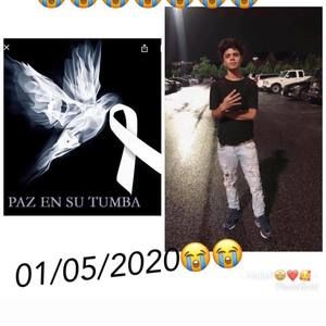 Meet your Posher, Ronal